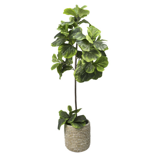 Sand & Stable 60'' Faux Fiddle Leaf Fig Tree in Rattan Basket & Reviews